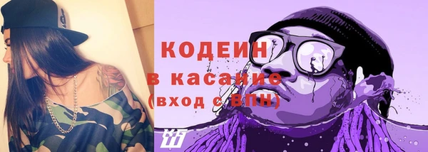 гидра Арсеньев