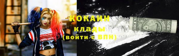 гидра Арсеньев