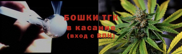 гидра Арсеньев