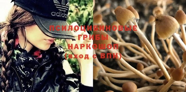 гидра Арсеньев