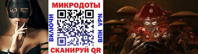 Псилоцибиновые грибы Psilocybe  Валдай 