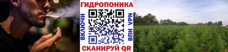 Шишки марихуана SATIVA & INDICA  купить наркотик  Валдай 